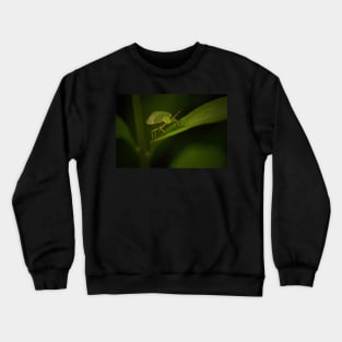 DON'T LEAF THE LITTER TO US Crewneck Sweatshirt